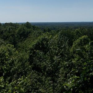 Meet your Posher, Bella